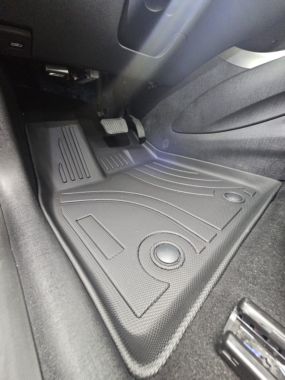 Tapete 3D BYD Dolphin — foto 2